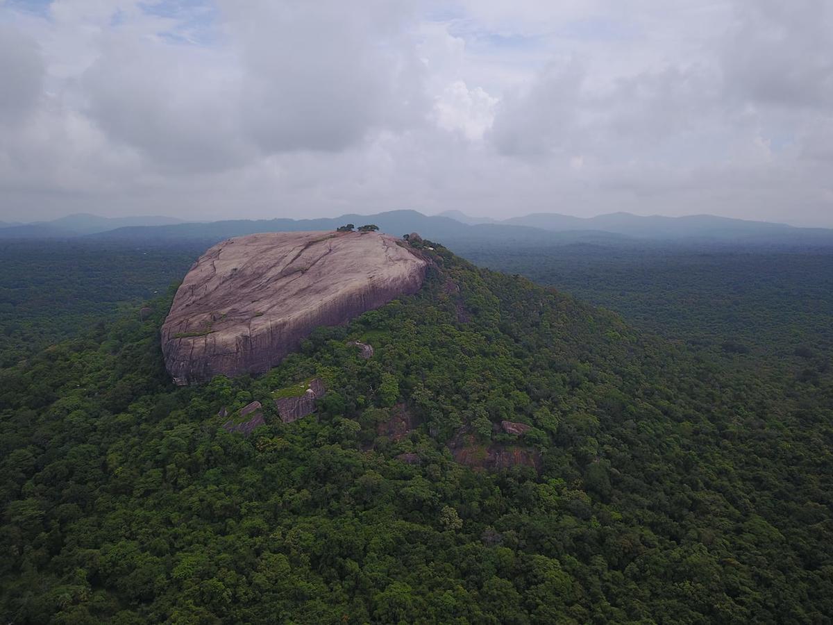 Pidurangala Villas Sigiriya Ngoại thất bức ảnh